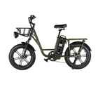 Load image into Gallery viewer, FIIDO T1 Pro - Electric Cargo Bike