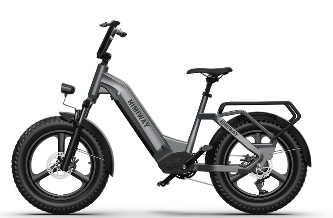 Himiway Big Dog - Electric Cargo Bike
