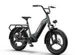 Load image into Gallery viewer, Himiway Big Dog - Electric Cargo Bike