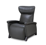 Load image into Gallery viewer, Svago The Motion Mastery Zero Gravity Lounge Chair