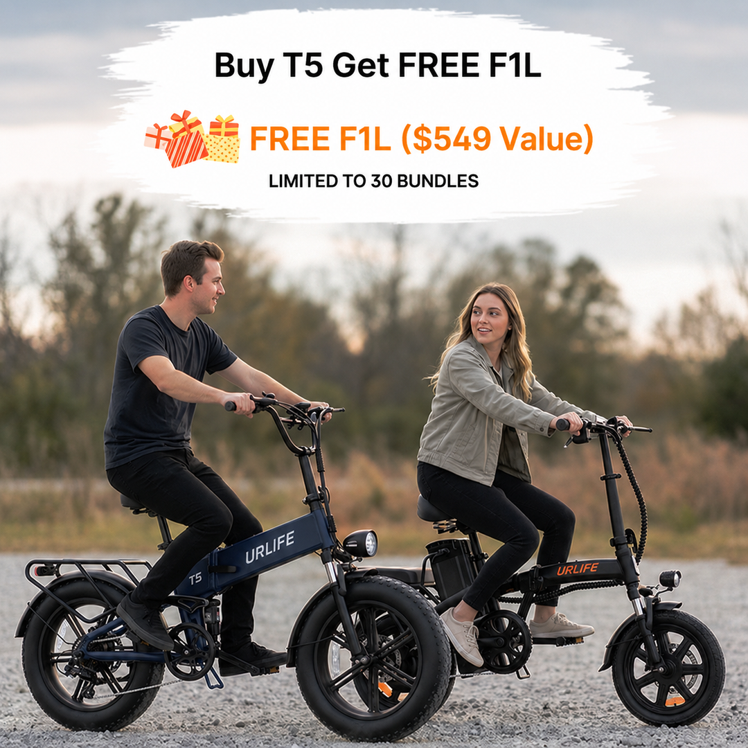 URLIFE T5 20*4.0 Inch Fat Tire Electric Bike