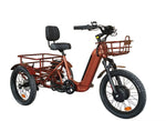Load image into Gallery viewer, BREEZY Electric Trike 3 Wheel eBike TRIKE GT-48v 500 w Fat Tire Electric Tricycle