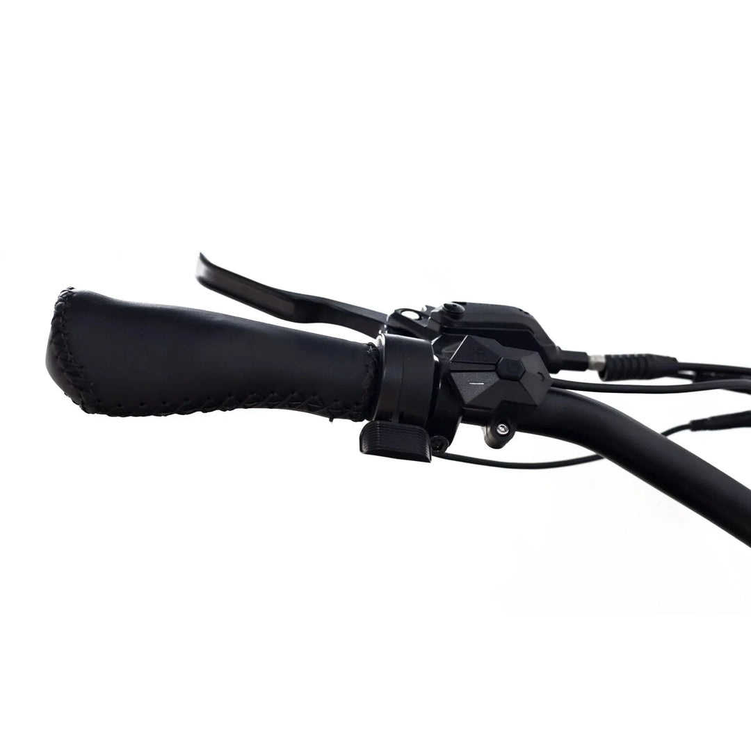 Coastal Cruiser 52v 24 Thru 750W Step Thru Ebike 24x3 Fat Tire Fat Tire Cruiser