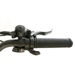 Load image into Gallery viewer, Coastal Cruiser CC Folding 750w Step Thru Ebike 20x3 Fat Tire Folding Electric Bike