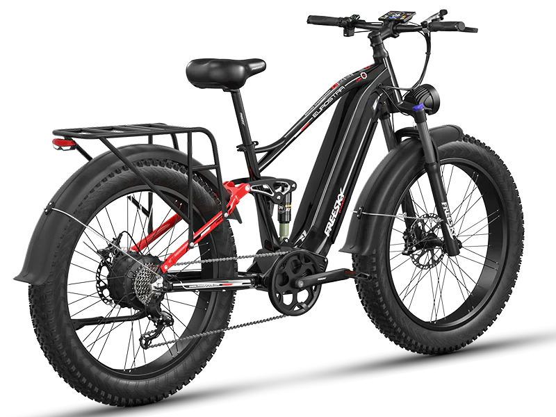 eBike Freesky Eurostar Ultra M-410