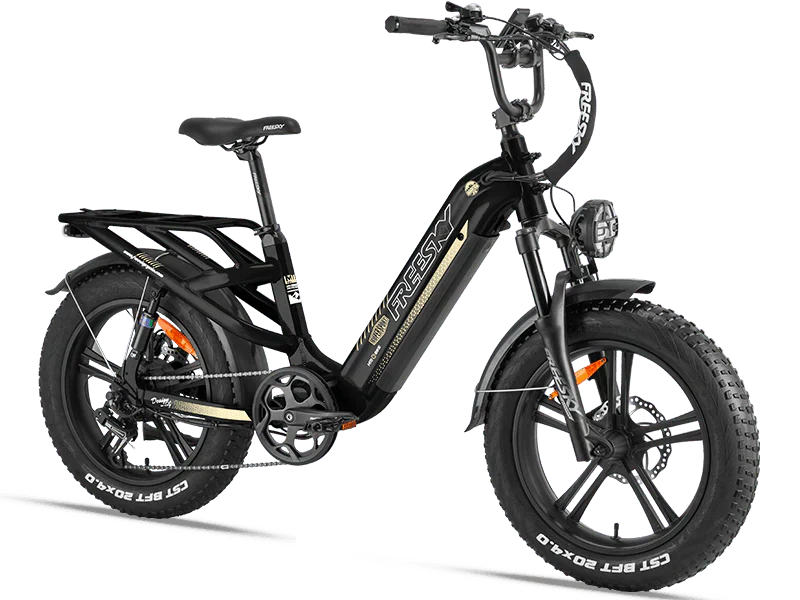 eBike Freesky Rocky Pro A-320