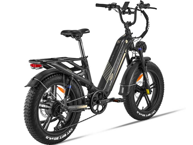 eBike Freesky Rocky Pro A-320