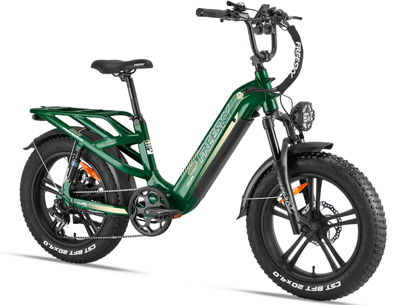 eBike Freesky Rocky Pro A-320