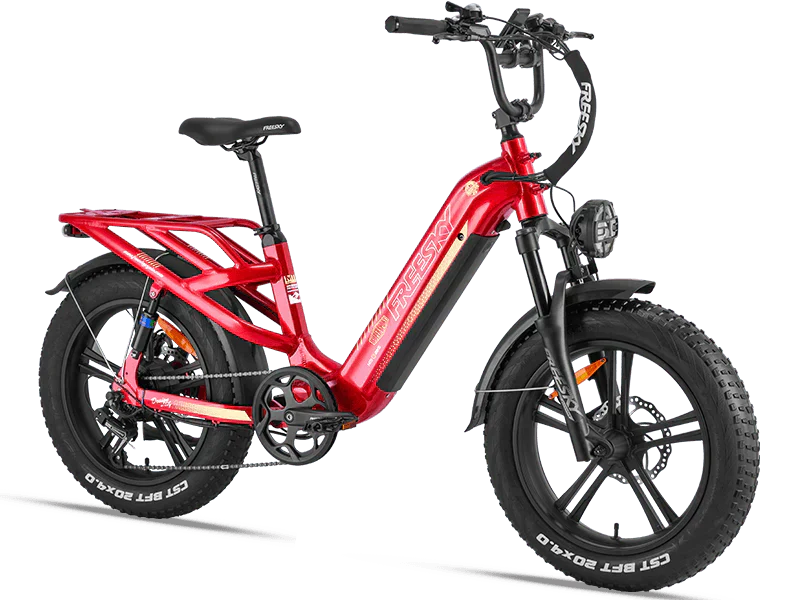 eBike Freesky Rocky Pro A-320