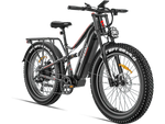 Load image into Gallery viewer, eBike Freesky Swift Horse Pro X-6E