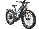 Load image into Gallery viewer, eBike Freesky Swift Horse Pro X-6E