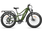 Load image into Gallery viewer, eBike Freesky Swift Horse Pro X-6E