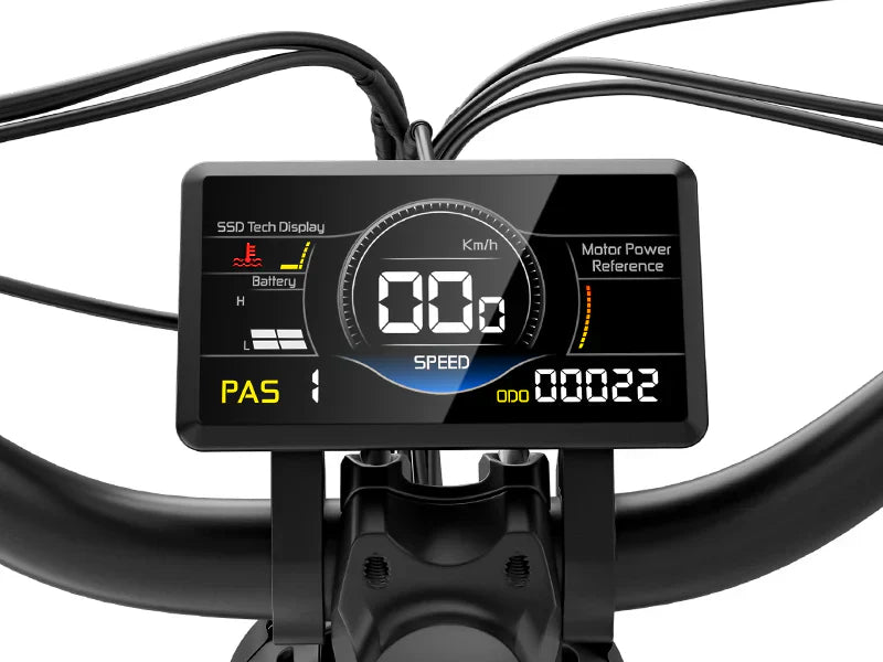 eBike Freesky Wild Cat Ultra A-340