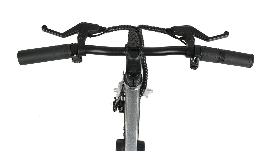 EUNORAU EKIDS 20 250w Micro eBike 20x1.95" Road Electric Micro eBike