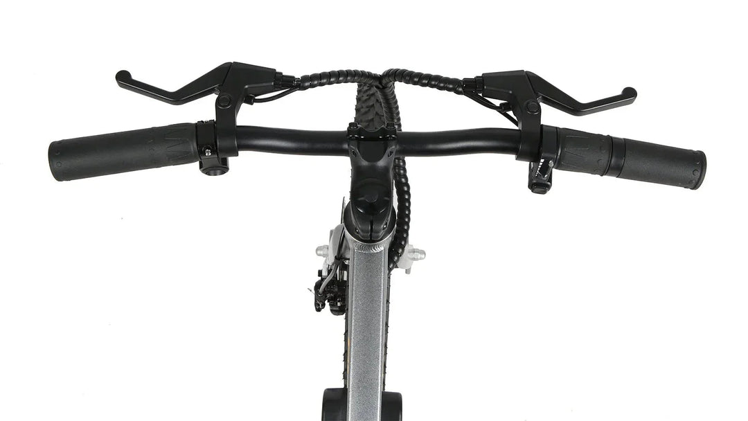 EUNORAU EKIDS 20 250w Micro eBike 20x1.95" Road Electric Micro eBike
