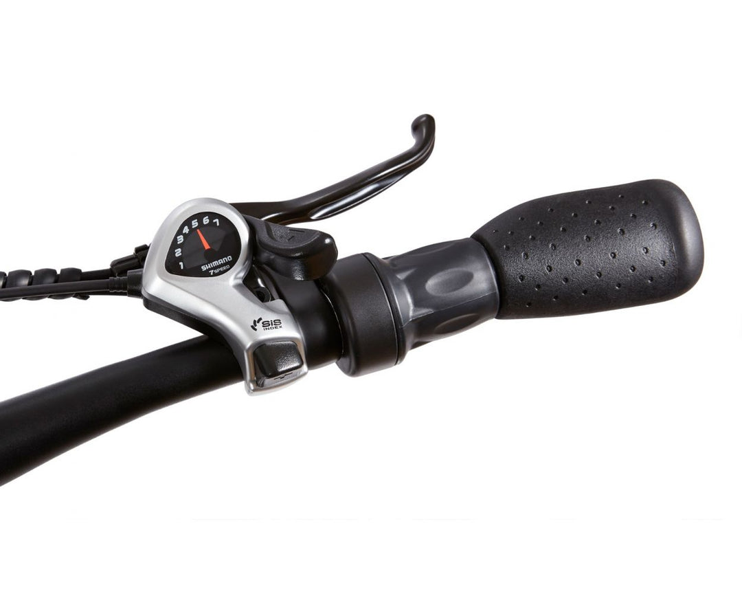 FLYER™ L885 Electric Cargo Bike