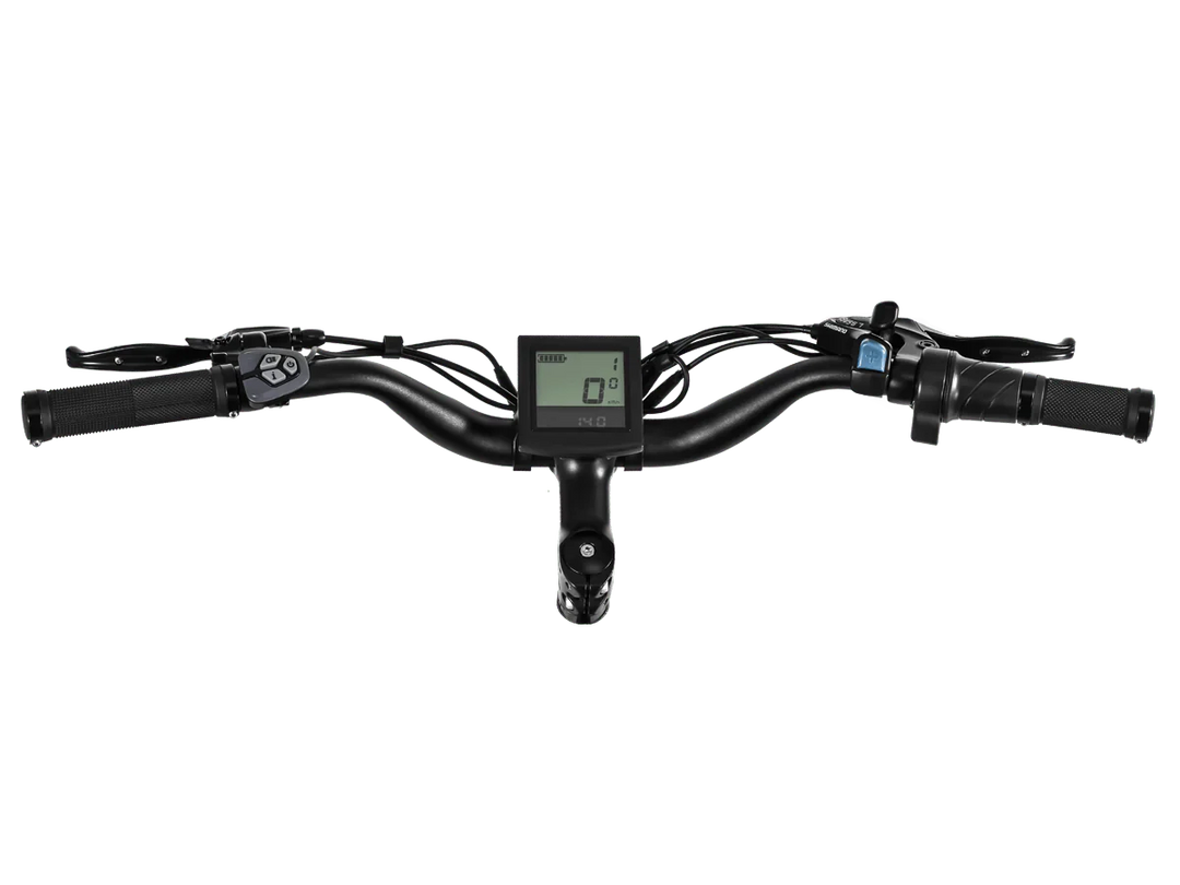 HIMIWAY Cruiser D3 750 w Step Over Ebike 26x4 Fat Fat Tire Electric Beach Cruiser eBike
