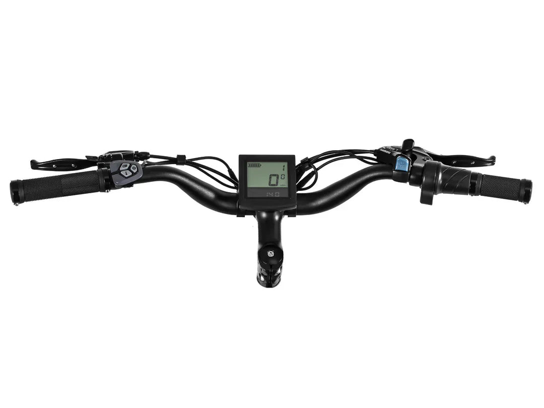 HIMIWAY Cruiser ST D3 750 w Step Thru Ebike 26x4 Fat Electric Fat Tire Mountain eBike