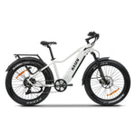 Load image into Gallery viewer, KASEN Ranger 2.0 750 w Step Over Ebike 26x4 Fat Fat Tire Electric Beach Cruiser eBike
