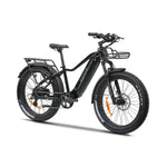 Load image into Gallery viewer, KASEN Ranger 2.0 750 w Step Over Ebike 26x4 Fat Fat Tire Electric Beach Cruiser eBike