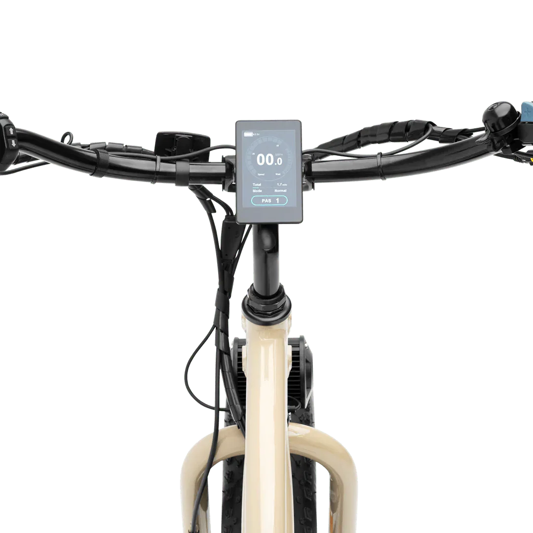 MURF Alpha Cargo Fat Tire Beach Cruiser 52v