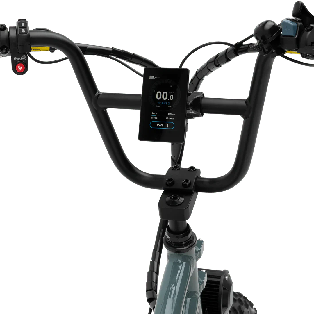 MURF Higgs Cargo Fat Tire eBike