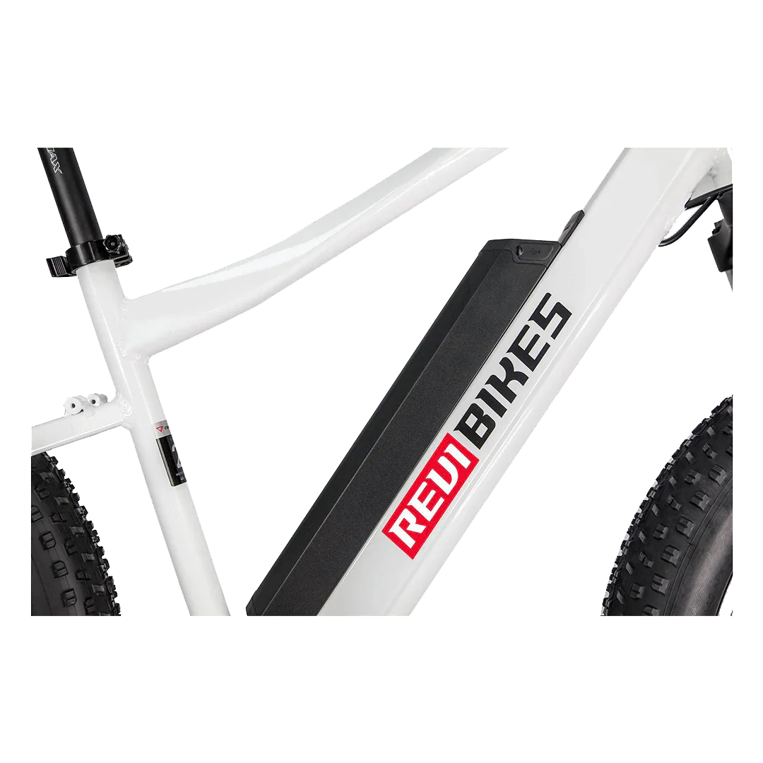 REVI Predator 750w Step Over Ebike 26x4 Fat Tire Electric Fat Tire Mountain eBike