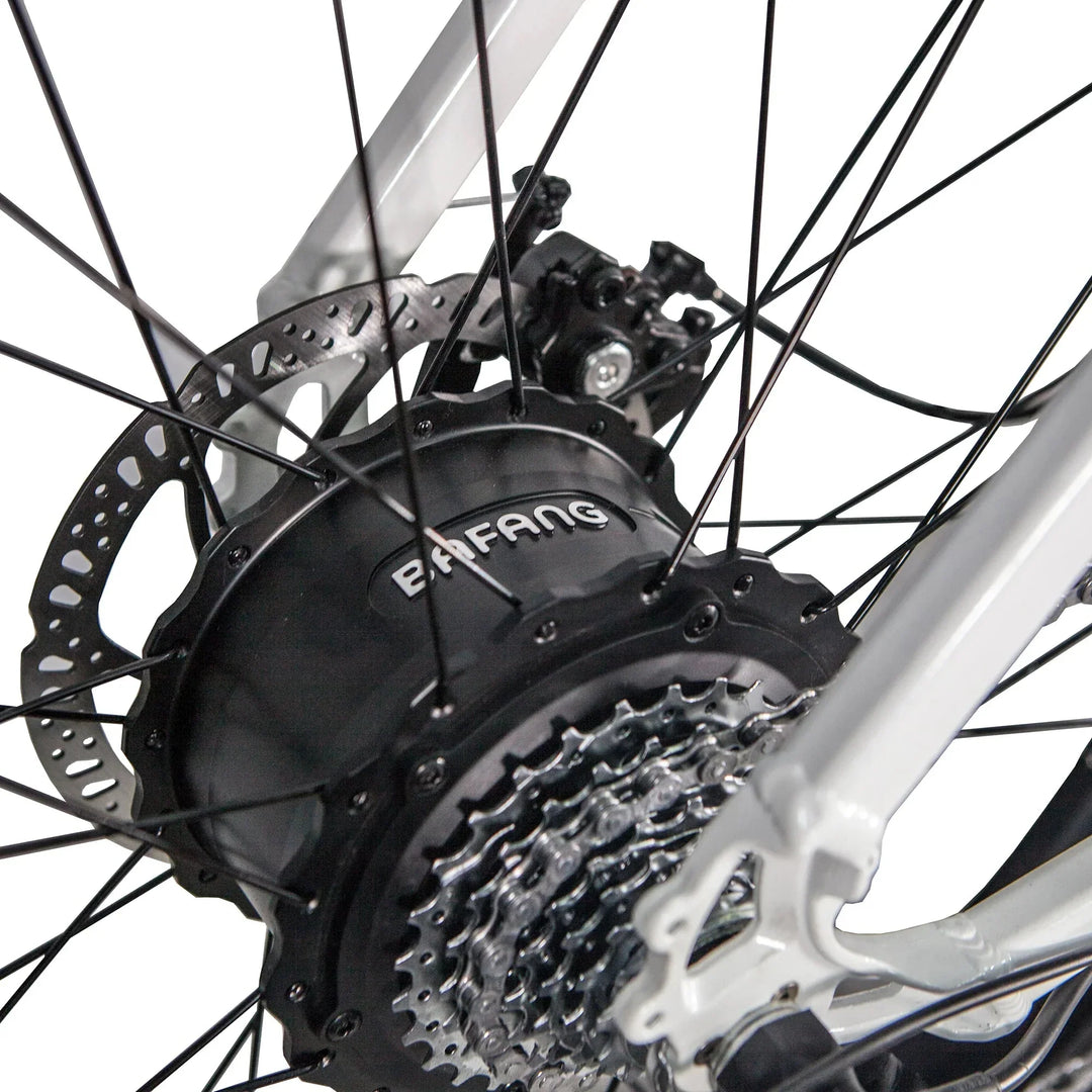 REVI Predator 750w Step Over Ebike 26x4 Fat Tire Electric Fat Tire Mountain eBike