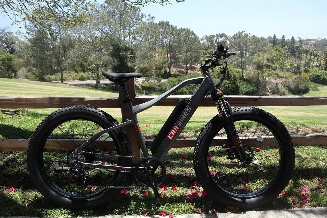 REVI Predator 750w Step Over Ebike 26x4 Fat Tire Electric Fat Tire Mountain eBike