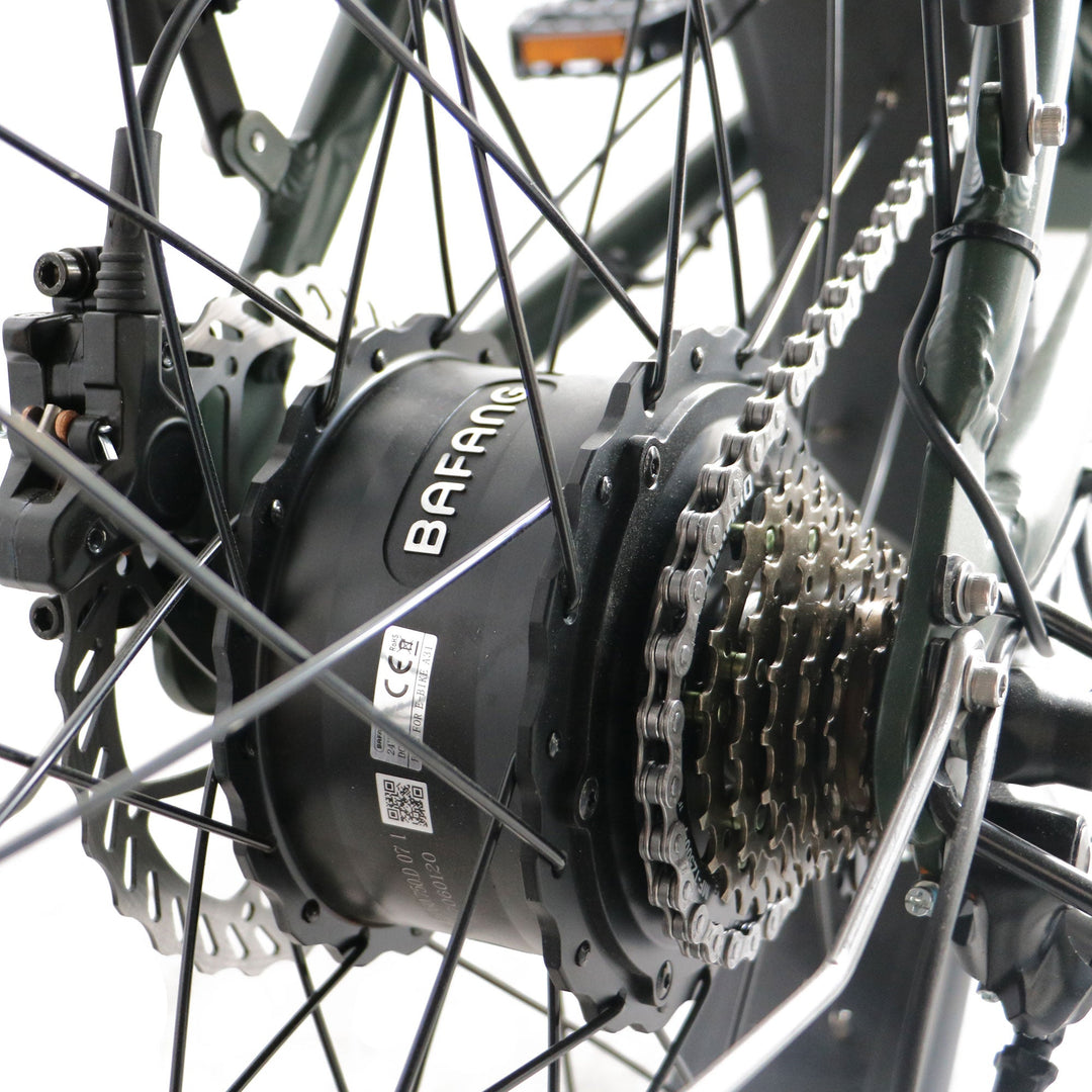 Step Over 24x3 - 52v 750W Beach Cruiser Electric Bike