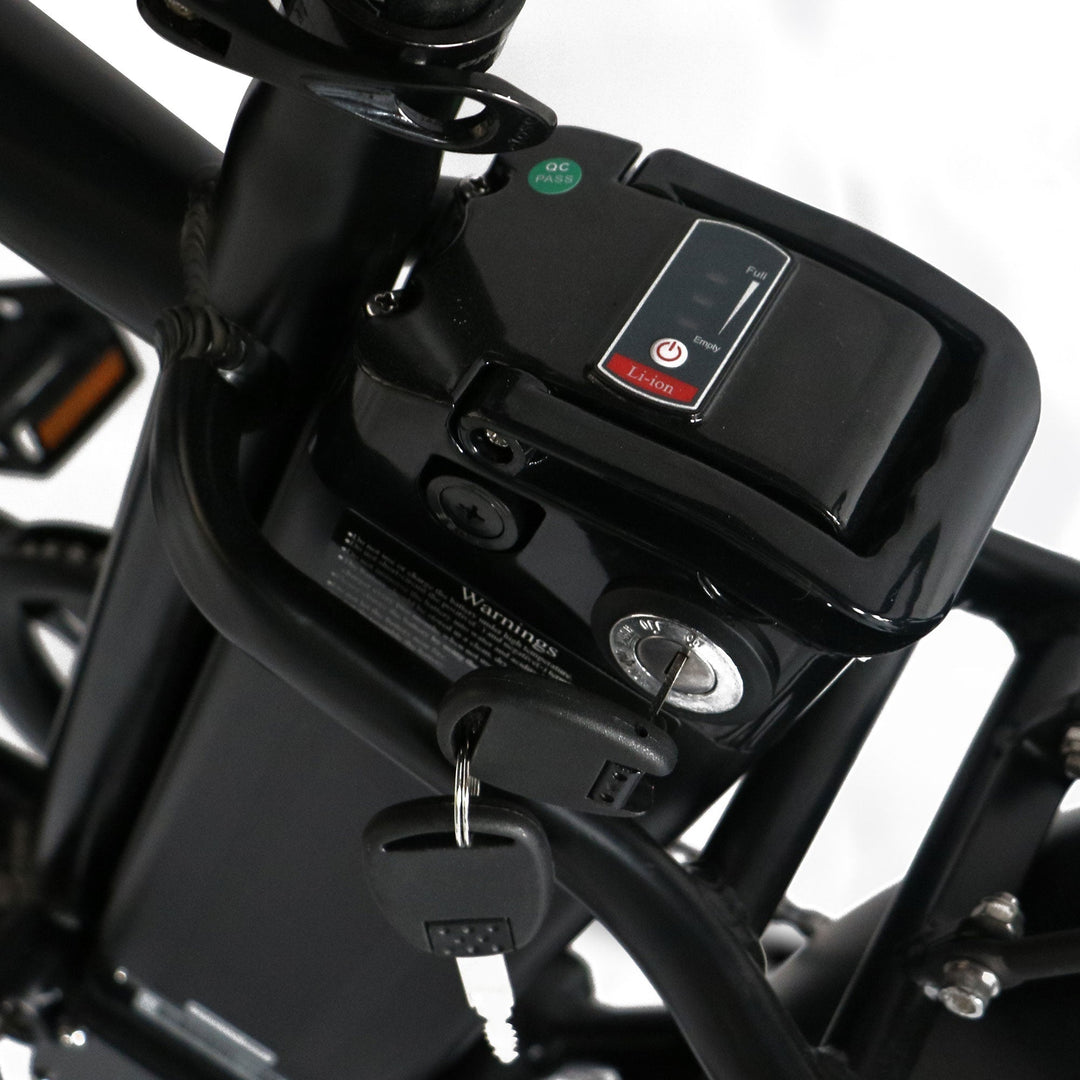 Step Over 24x3 - 52v 750W Beach Cruiser Electric Bike