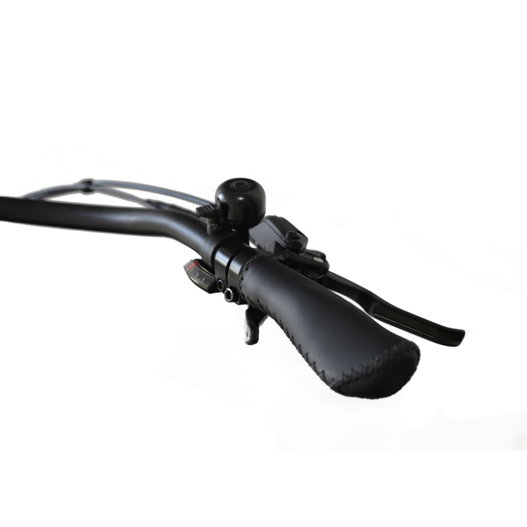 Step Over 24x3 - 52v 750W Beach Cruiser Electric Bike