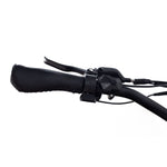 Load image into Gallery viewer, Step Over 24x3 - 52v 750W Beach Cruiser Electric Bike