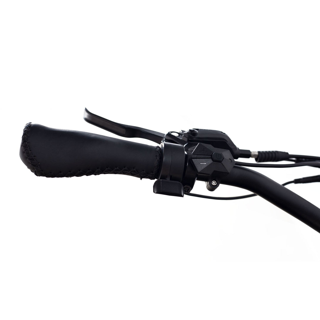 Step Over 24x3 - 52v 750W Beach Cruiser Electric Bike
